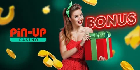 Игорное заведение Pin Up  Вход в игорное заведение Украины